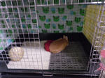 IMGP4035.JPG