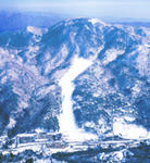 BirdsEyeView01s.jpg