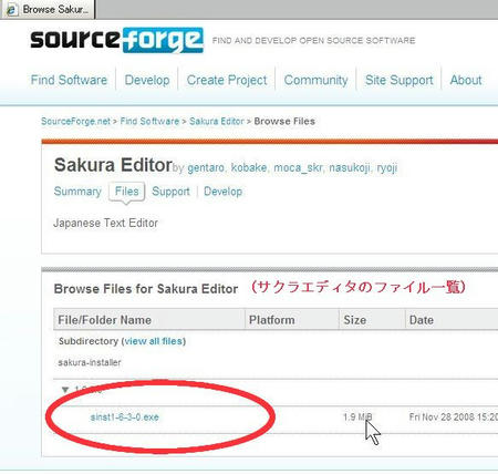 sakura.jpg