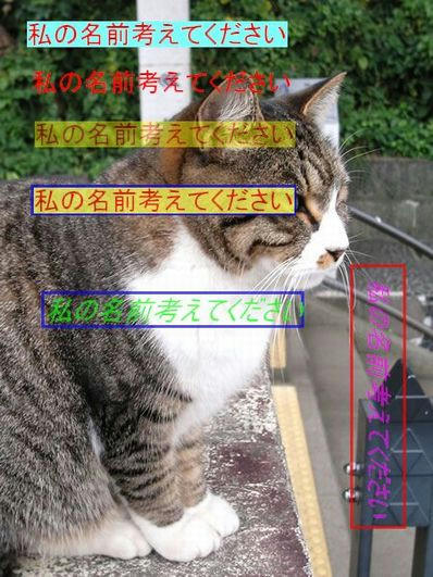 3928477d.jpg