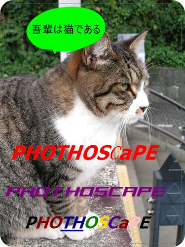 9bb9bd05.jpg