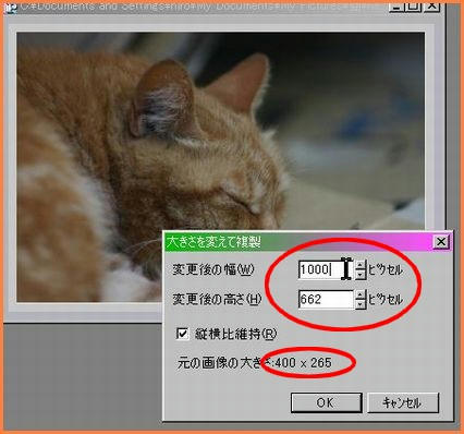 82771db4.jpeg