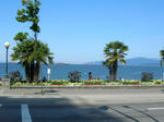 DSCN8003.JPG