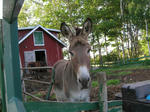 DSCN8081.JPG