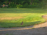 DSCN8101.JPG