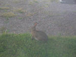DSCN8104.JPG