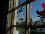 DSCN8073.JPG