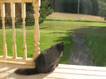DSCN8067.JPG