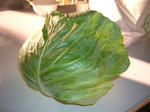 DSCN8193.JPG
