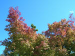 DSCN8248.JPG