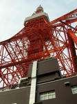 DSCN8457.JPG