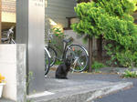 2010_0429_174322-DSCN8716.JPG