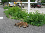 2010_0626_142511-DSCN8878.JPG