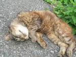 2010_0626_142527-DSCN8879.JPG