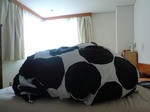 2011_0428_075156-CIMG8074.JPG