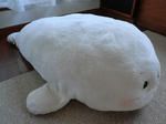 2011_0428_131521-CIMG8080.JPG