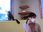 2011_0716_113227-CIMG8561.JPG