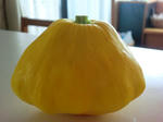 2011_0726_151155-CIMG8627.JPG