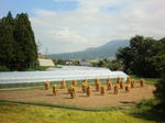 2011_0918_102247-CIMG8845.JPG