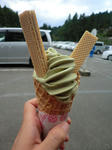 2011_0918_141921-CIMG8867.JPG