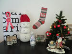 2011_1211_090235-CIMG9286.JPG