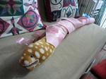 2012_0101_120231-CIMG9373.JPG