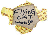 FlyinG CAT HouSe.