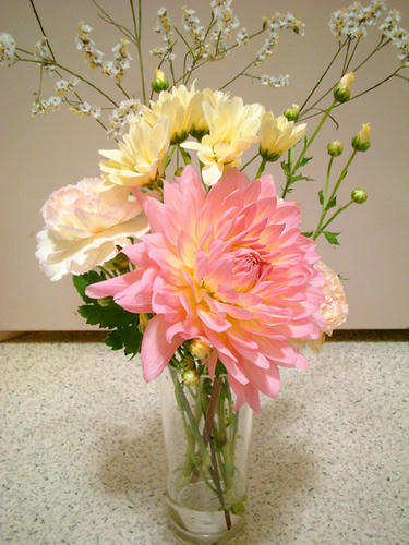 9/17の花