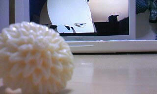 091111_2059_010001.jpg