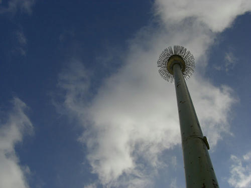 CIMG16341.jpg