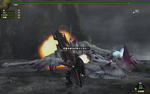 a3226031.jpeg