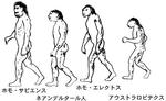 hito.jpg