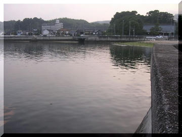 0707222.JPG