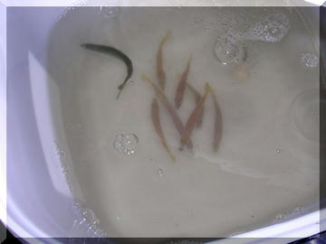 07080505.JPG