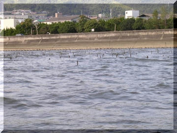 070908001.jpg