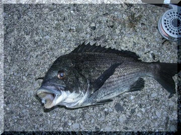 img0152.jpg