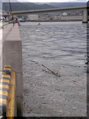 img0171.jpg