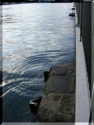 pointo061112.jpg