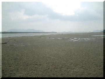 080703017.JPG
