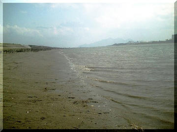 080703020.JPG