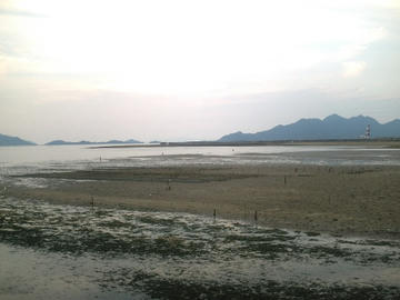 080706001.JPG