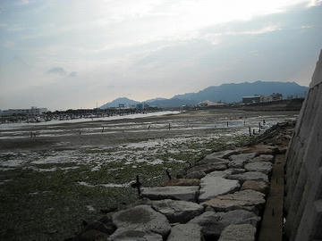 883004.jpg