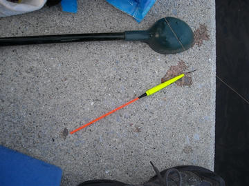 DSCN0004.jpg