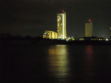 8928001.jpg