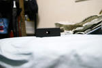 SDIM0489.jpg