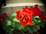 P4270326_mmF.ISO200.SS640.jpg