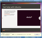 ubuntu10.10install.png
