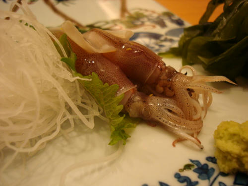 DSC01233.JPG