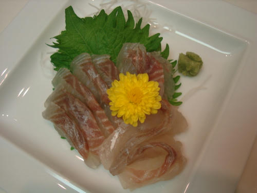 DSC00517.JPG