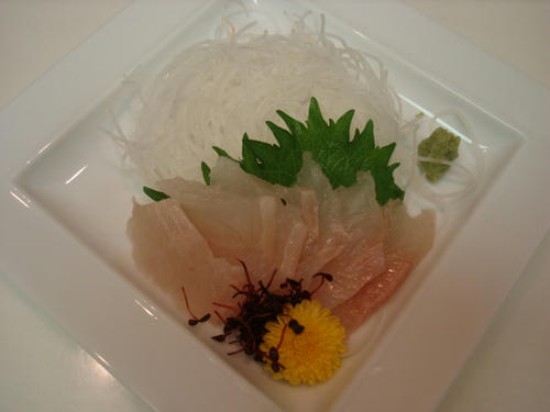 DSC00892.JPG